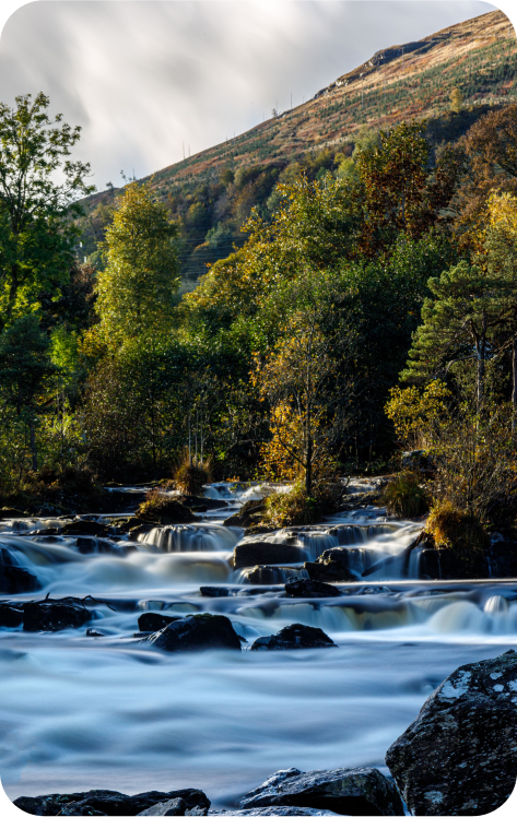 Scottish heritage and legacy