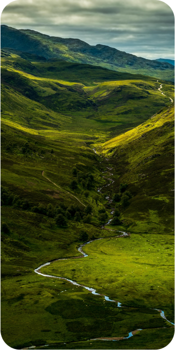 Scotland Nature