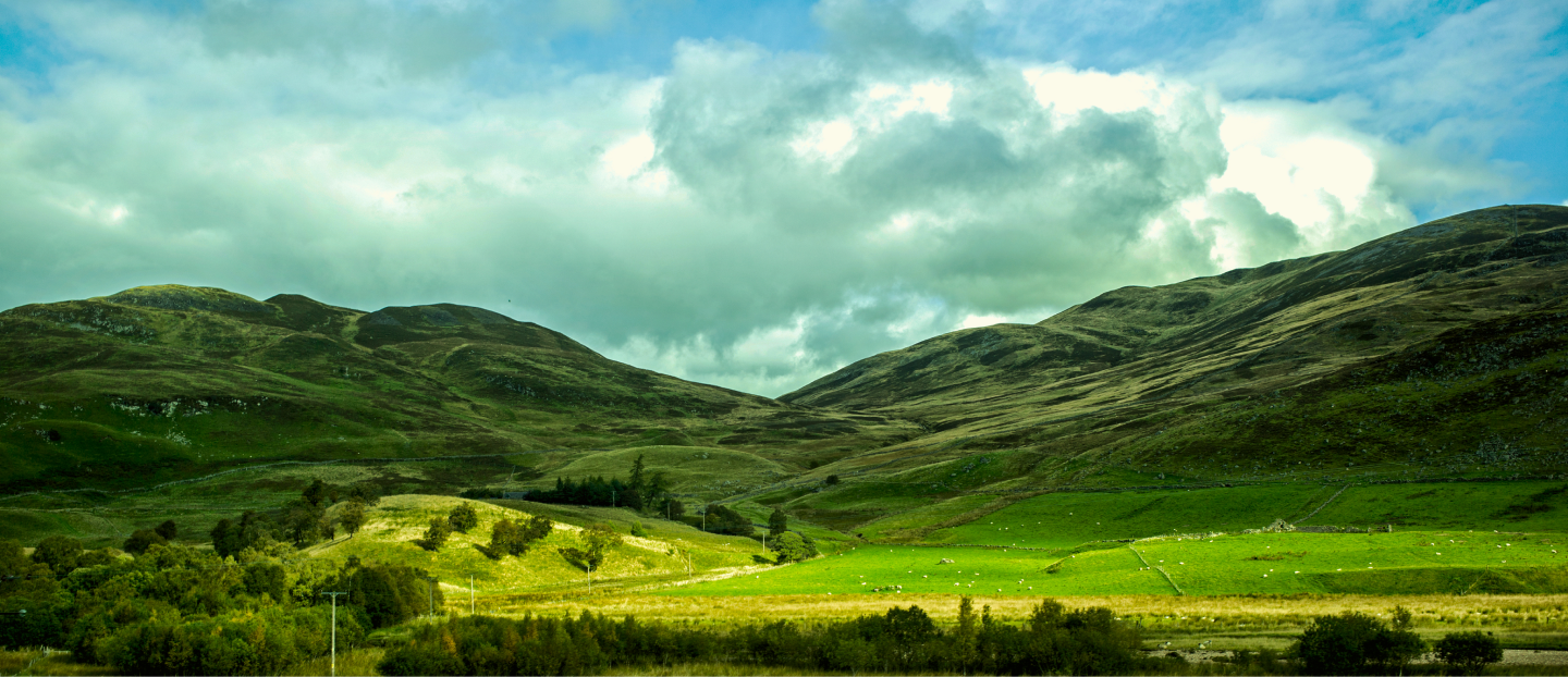 Load video: Scotland Nature